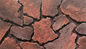 W.A 0.03 Dağınık Kültür Taş Tuğla 14mm Çit Duvar Dekorasyonu