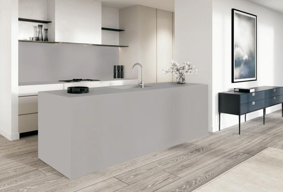 satın al Küçük Gri Sintered Stone Slab 1600x3200x12mm Matt Kaymaz çevrimiçi üretim