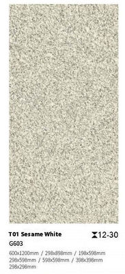 satın al Kaydırmaz Kil Zemin Karoları 300x300mm 600x1200mm Dış Mekan Taş çevrimiçi üretim