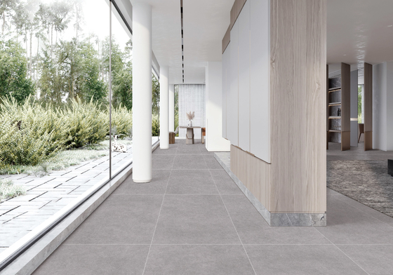 satın al Açık Gri Yıldızlı Glaze Porselen Tile 600x1200mm AAA Sınıfı çevrimiçi üretim