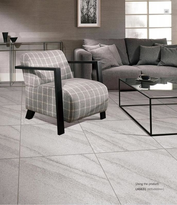 satın al Antibakteriyel 600x600mm Porselen Taşlar ve Gri Dış Duvar Taşları Mutfak ve Daire için çevrimiçi üretim