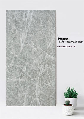 satın al Açık Gri Kil Perde Duvar Karosu 600x1200mm Yumuşak Dokunuş Mat çevrimiçi üretim