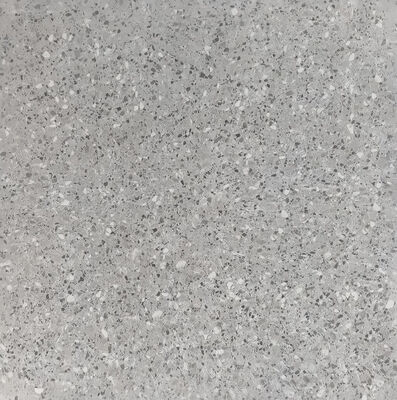 satın al Çevre dostu Terrazzo ve Mermer 600x600mm Matt Gri Zemin Mutfak için Rustik Keramik Plakalar çevrimiçi üretim