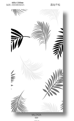 60x120cm Camlı Porselen Duvar Plakası İç Kullanım