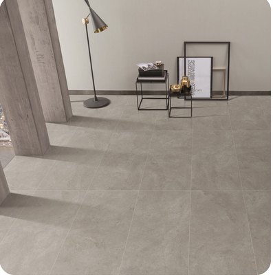 W.A 0.5% Gri 600x1200mm Dış Zemin Proje için Bebek Yüzü Camlı Retro Porselen Plakalar