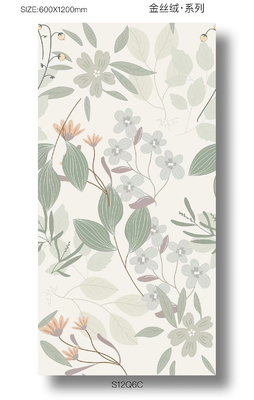 Dikdörtgen Dış Yer Elegant Yumuşak Camlı Mutfak ve Oturma Odası için 1200x600mm Porselen Plak