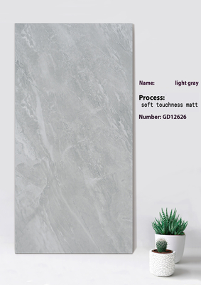 Antibakteriyel Hafif Gri Yumuşak Hassasiyet Alışveriş Merkezi için Matt Tile 600x1200mm