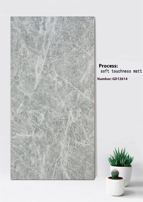 Açık Gri Mermer Görünüm Çizik Direnci 600x1200mm Yumuşak Hassaslık Matt Dış Perde Duvar Taşları Bahçe İçin