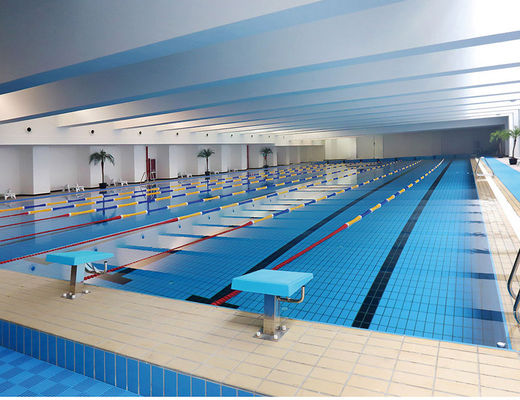 S003 Lane 24kg / Karton Seramik Zemin Kaplama Fayansları Yüzme Havuzu, 115x240mm Sırlı Kenar Karosu